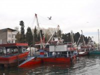 Marmara Denizi'nde demirleyen balıkçılar sezondan memnun