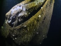 Türkiye denizleri ve iç suları 'hayalet ağ' tehlikesinden arındırılıyor