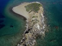 "Yeşil Nobel" ilk kez Türkiye'den bir isme verildi