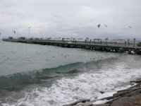 Tekirdağ'da poyraz deniz ulaşımını olumsuz etkiliyor