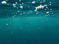 Florida'da bir kişi su altında en uzun süre yaşama rekorunu kırdı