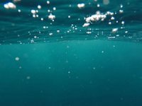 Florida'da bir kişi su altında en uzun süre yaşama rekorunu kırdı