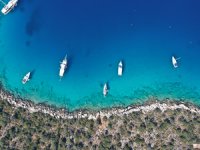 Türkiye Çevre Haftası, "Temiz Deniz, Temiz Dünya" temasıyla kutlanıyor