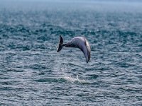BM, tarihi Açık Deniz Anlaşmasını kabul etti