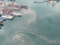 Denizi kirleten gemilere caydırıcı yasa önerisi