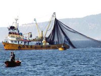 Balıkçılık ve su ürünleri sektörünün sorunlarını araştırma komisyonu kuruldu