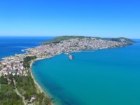 Sinop'ta deniz suyunun ani soğumasıyla şoka giren tonlarca balık kıyıya vurdu