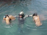 Bodrum'da dalgıçlar deniz dibinden 20 tona yakın tonoz ve çapa çıkardı