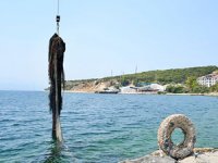 İzmit Körfezi'nden bu yıl 43 bin metrekare hayalet ağ çıkartıldı