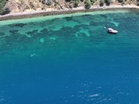 Akdeniz'de deniz suyunun aşırı ısınması "medicane"i tetikliyor