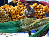 Hatay'da depremzede balıkçılar mavi sularla buluşmak için gün sayıyor