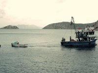 Denizdeki atık ağlara karşı ortak mücadele