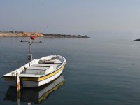 İklim değişikliği nedeniyle deniz canlıları yaşam alanlarını değiştiriyor