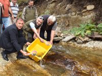 Karadere’ye 5 bin kırmızı benekli alabalık bırakıldı