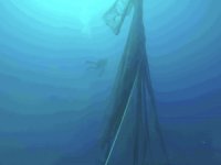 Bodrum'da denizden yaklaşık 500 metrekare "hayalet ağ" çıkarıldı
