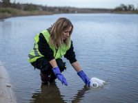 Ukrayna Deniz Ekolojisi Bilim Merkezi'nde yeraltı su analizi