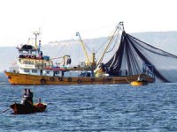 Yasa dışı balık avcılığı yapan 3 kişi yakalandı