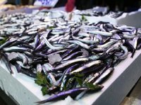 Türkiye'nin 10 aylık hamsi ihracatı yüzde 22 arttı