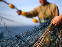 Sri Lanka Donanması, 12 balıkçıyı gözaltına aldı