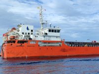 YENİ YÜZYIL, Türk Bayrağı çekti