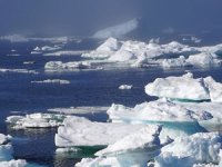 Buzulların erimesine karşı deniz yatağına perde çekecekler