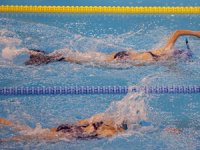 Paletli Yüzme Bireysel Kış Şampiyonası, İstanbul'da başladı