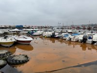 Balıkçı barınağında planktonlar denizin rengini turuncuya çevirdi