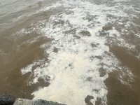 Denize akan kanalizasyon suyu kirliliğe neden oldu