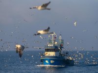 Denizlerde çatışmaları önlemek için yeni kurallar getirildi