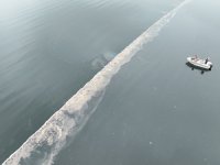 Sapanca Gölü'ne sızan yakıtın temizlenmesi için çalışma yürütülüyor