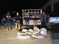 Kaçak avlanmış 1,8 ton inci kefali ele geçirildi