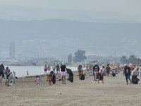 Deniz kaplumbağalarının yaşam alanları temizlendi