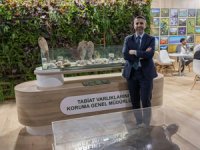 Pina midyeleri Marmara Denizi'ndeki müsilaja karşı