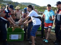 Tedavileri tamamlanan 2 caretta caretta denizle buluştu