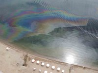 Edremit Körfezinde sintine kaynaklı çevre kirliliği