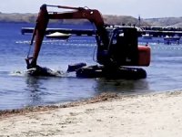 Kepçeyle koruma altındaki deniz çayırları söküldü