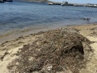 Deniz çayırlarını iş makinesiyle söken operatöre 774 bin lira ceza!