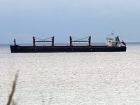 Arjantin'de yük gemisi M çiçeği virüsü alarmı!