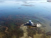 Eğirdir Gölü, ot ve yosunlardan arınıyor