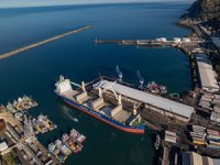 Doğu Karadeniz'in üç limanında metal kirliliği mercek altında