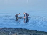 Kocaeli'de denizde erkek cesedi bulundu