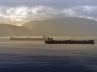 Yıllık tanker kiralama anketi, petrol deniz ticaretini vurguluyor