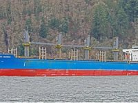 Türk şirketi Devbulk, Japonlar'dan gemi aldı