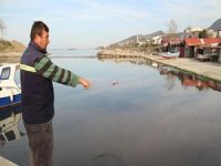 Liman girişi kumla doldu, balıkçılar mahsur kaldı