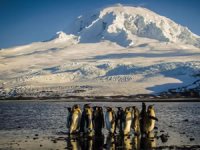 Trump’un vergilerinden penguenler de nasibini aldı