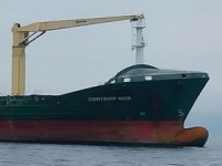 Contship Med, Medkon Lines filosuna katıldı