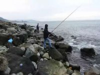 Rize’de kafes patladı: 2 ton levrek firar etti