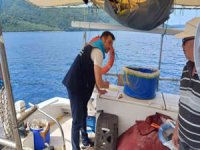 Gökova Körfezi’nde yasak av araçlarına el konuldu