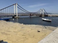 Marmara Denizi’nde müsilaj alarmı! Acil önlem şart!