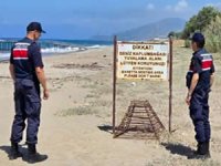 Jandarma ekiplerinden caretta caretta yuvası denetimi